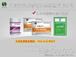 深耕禽藥市場，把握代理機(jī)遇 從鴨藥到品牌的全方位指南